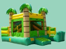 Tropical Mini Slide as low as $149.00 a day dry or $199.00 a day wet. Includes a jumping area, a climbing ramp and small slide.  This unit is ideal for kids up to age 6.  Unit dimensions are 15w*18d.